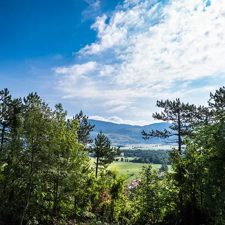 Little Paradise House * Lič